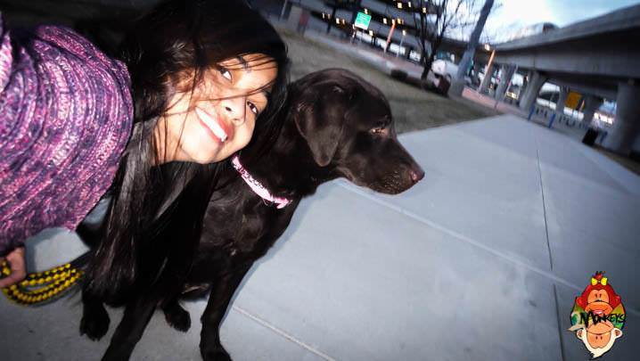 Flying With a Pet from Philippines to Colombia