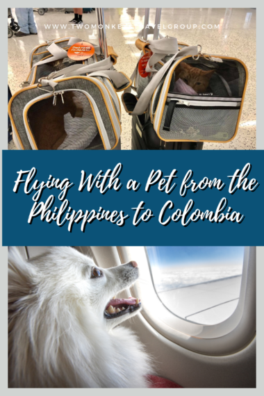 Flying With a Pet from the Philippines to Colombia