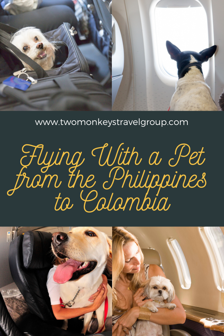 Flying With a Pet from the Philippines to Colombia