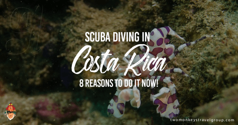 SCUBA Diving in Costa Rica - 8 Reasons to do it now!