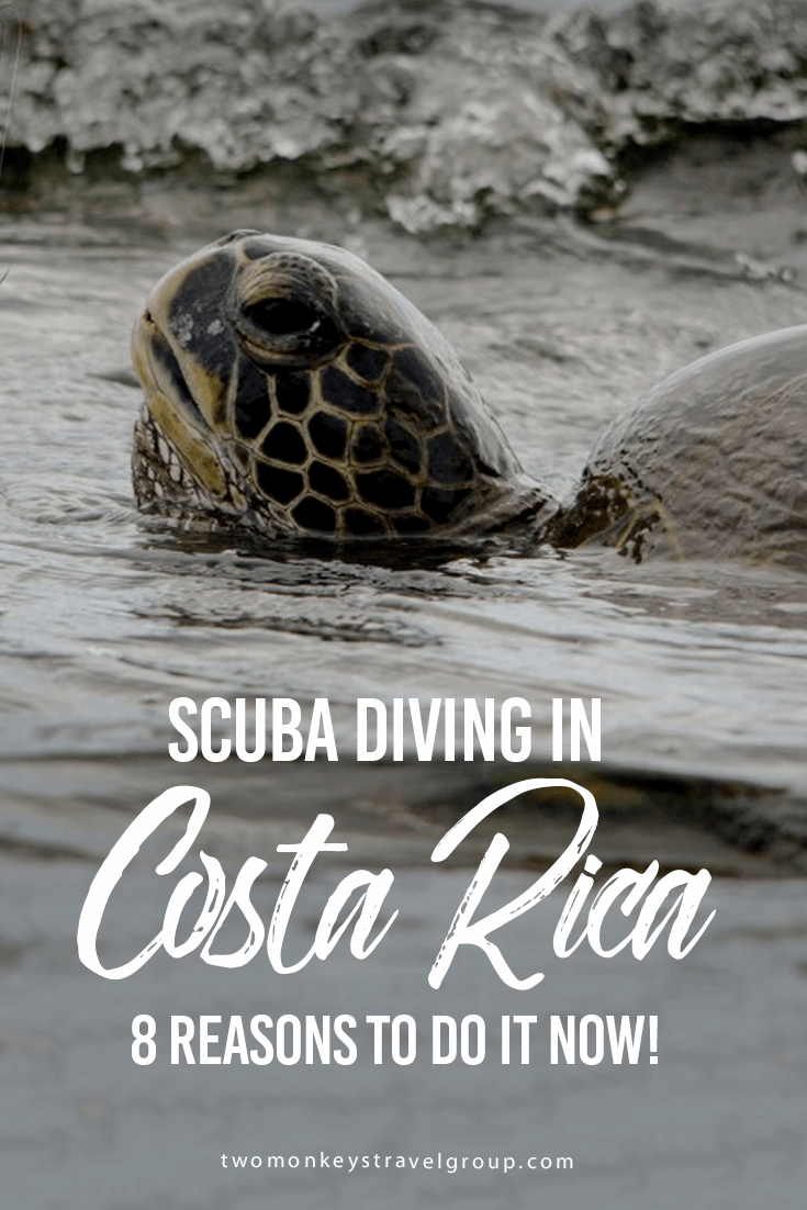 SCUBA Diving in Costa Rica - 8 Reasons to do it now!