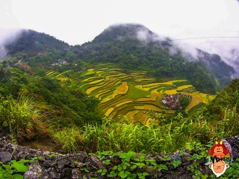 DIY Travel Guide to Baguio, Ifugao and Mountain Province
