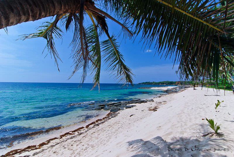 Best Beach Wedding Destinations in the Philippines