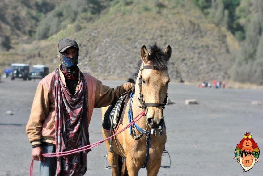 things to do in Bromo