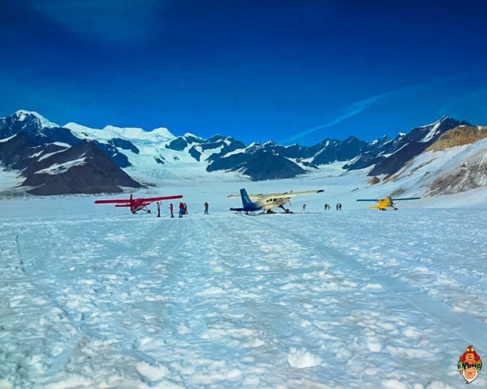 4 Tours You Must Take in Denali Alaska 2