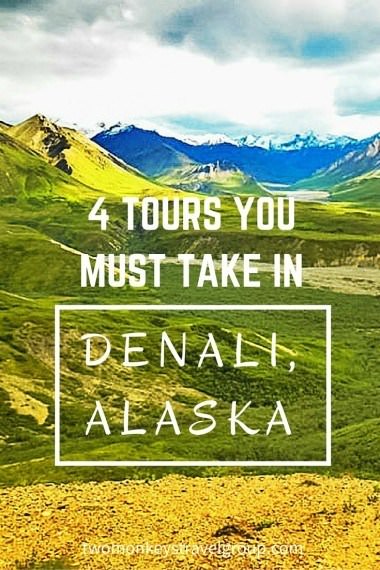 4 Tours You Must Take in Denali, Alaska