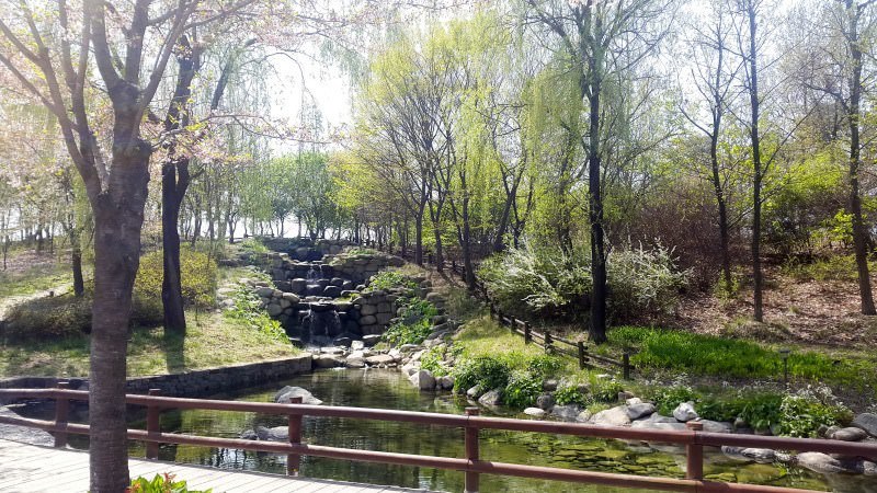 Soul Searching at Seoul Forest in Seoul Korea