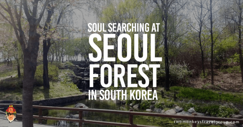 Soul Searching at Seoul Forest in South Korea