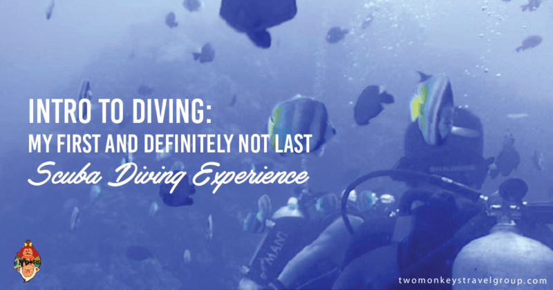 Intro to Diving: My First and Definitely Not Last Scuba Diving Experience