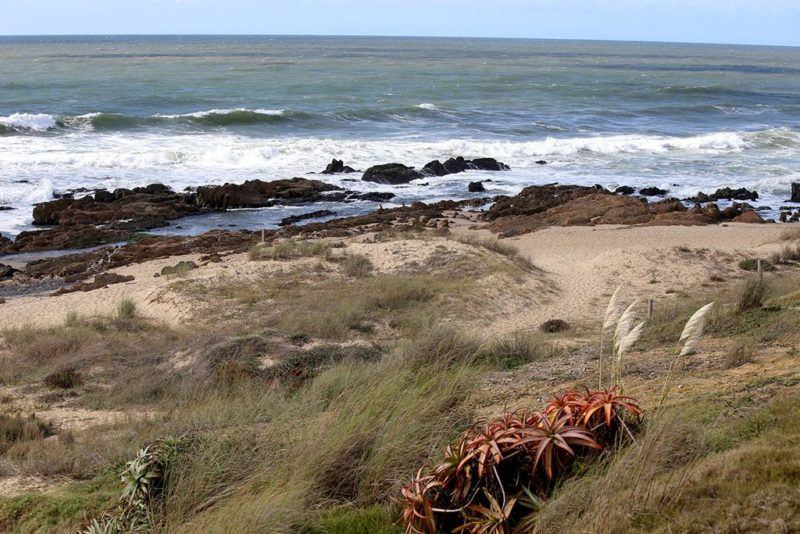 7 Awesome Things To Do In Uruguay