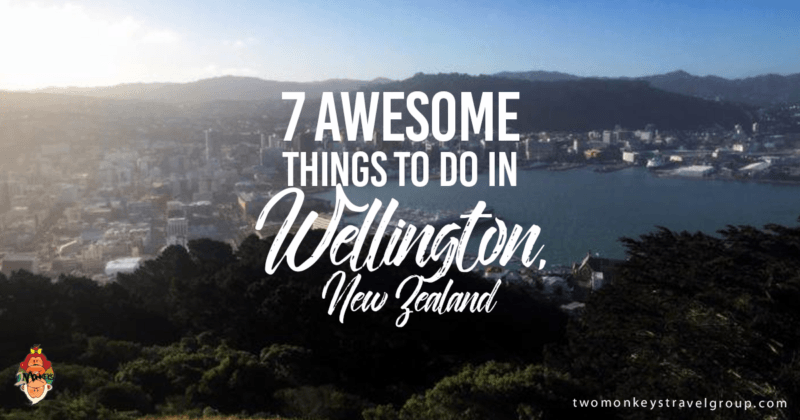 7 Awesome Things to Do in Wellington, New Zealand