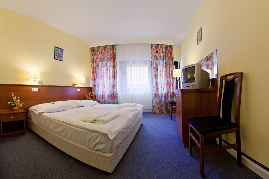 Ultimate List of Best Backpacker Hostels Palatinus Hotel_Sopron_Hungary