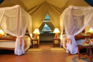 Ultimate list of backpacker hostels in Serengeti Mbuzi Mawe Camp