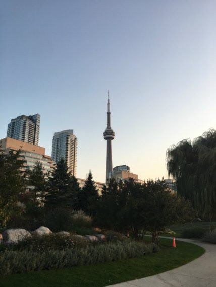 7 Unique Things To Do In Toronto, Canada