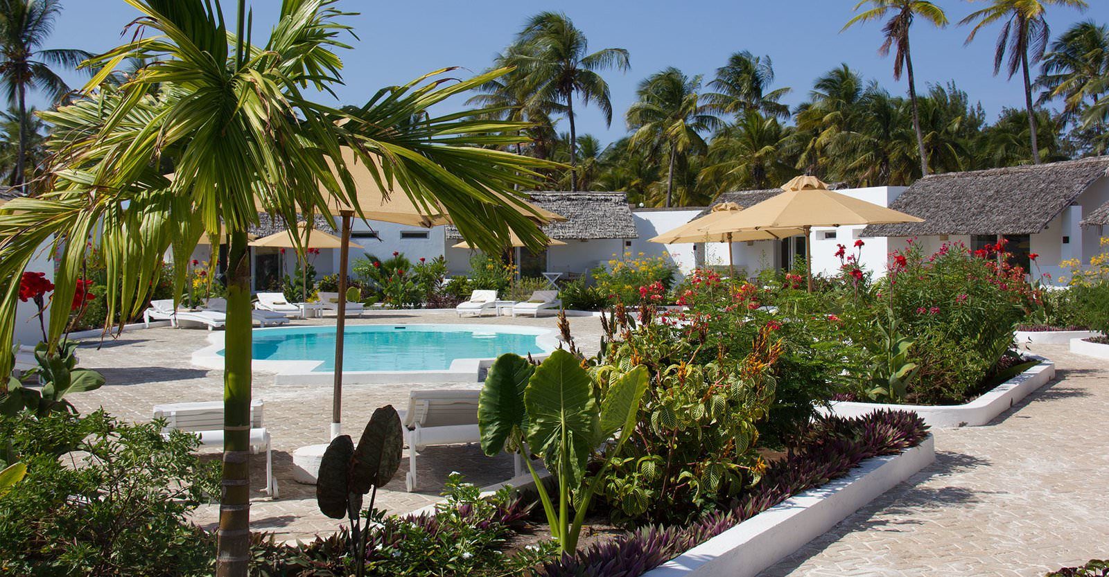 ultimate list of best hotels in Zanzibar Dhow Inn