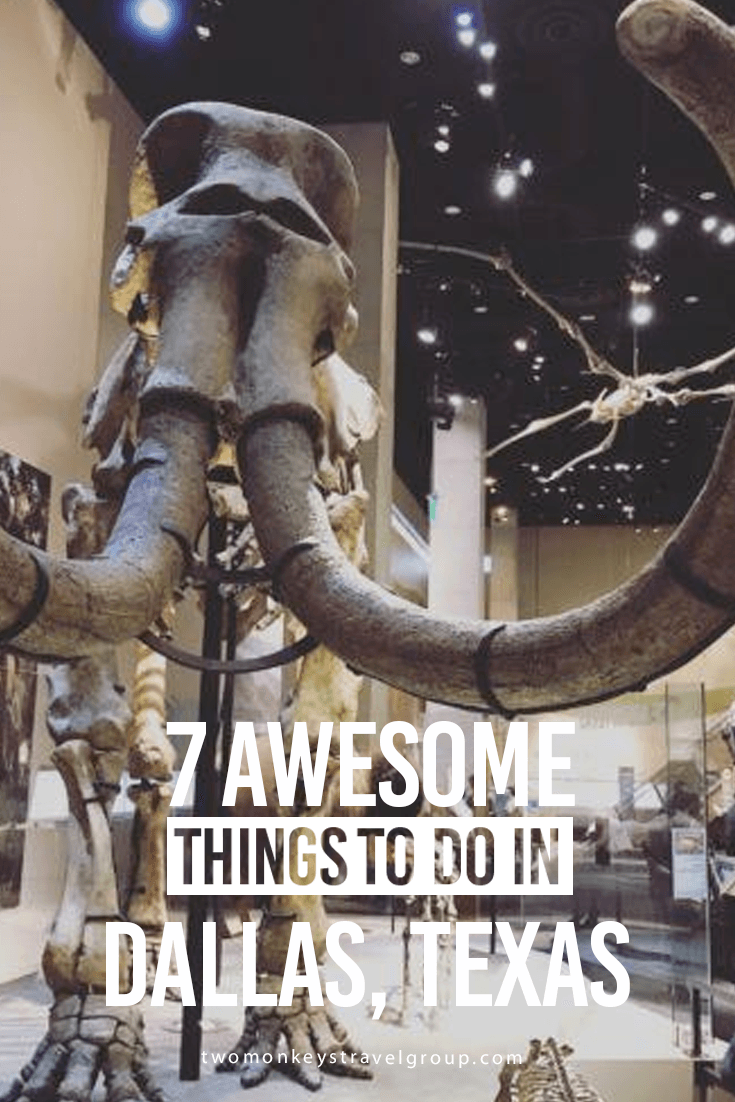 7 Awesome Things to Do in Dallas, Texas