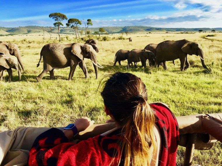 Kenya Safari