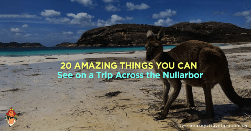 20 Amazing Things You Can See on a Trip Across the Nullarbor