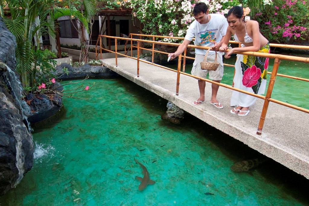 Why Bluewater Maribago Beach Resort, Mactan Island, Cebu is Ideal for all Travellers