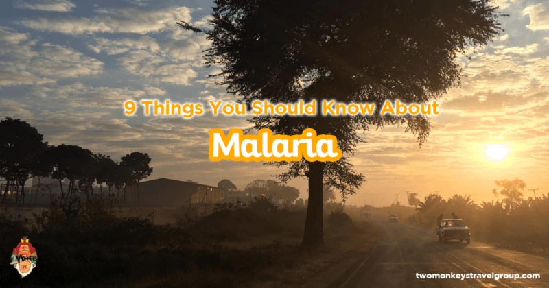 9 Things You Should Know About Malaria