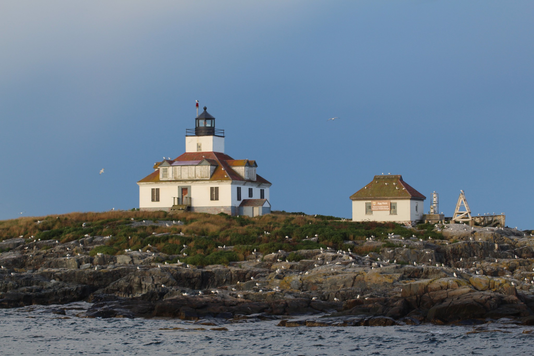 15 Best Things to do in Bar Harbor, (ME) Maine