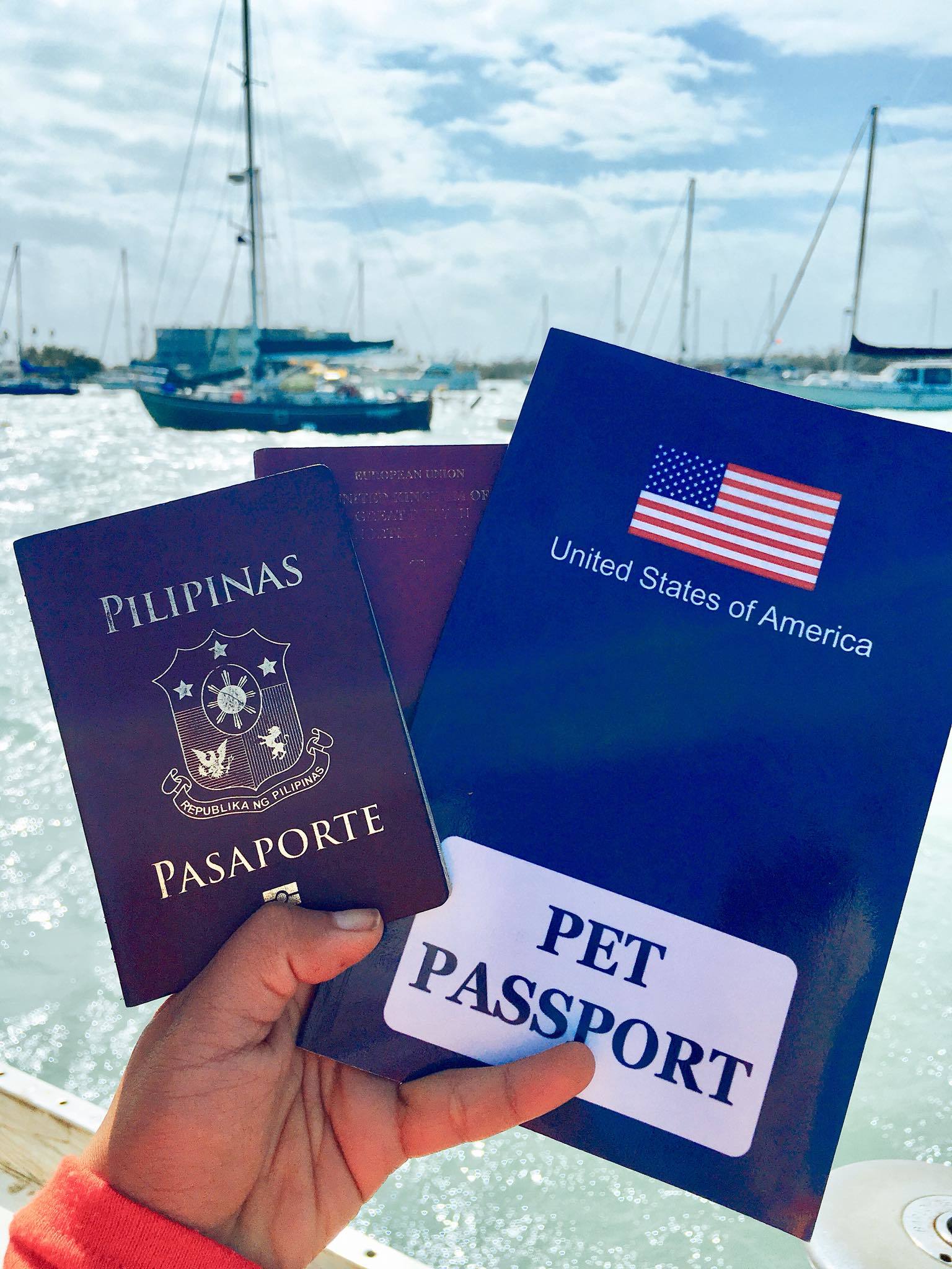 Flying with Pets How To Travel with Your Pets from the Philippines to USA