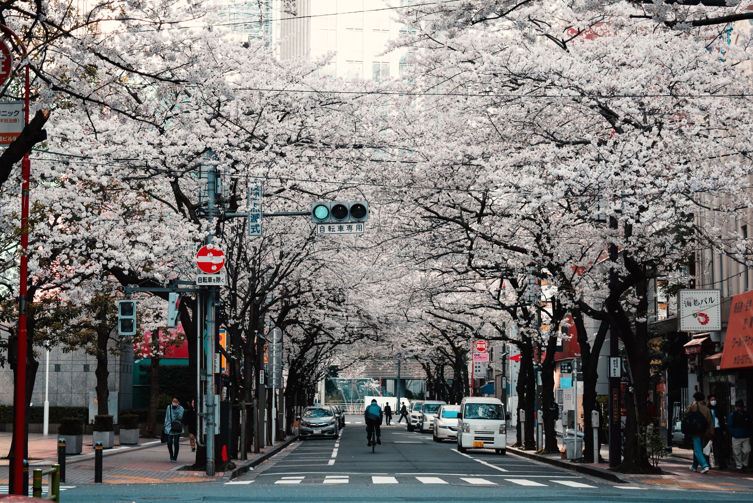 How to Teach English in Japan – The Land of the Rising Sun