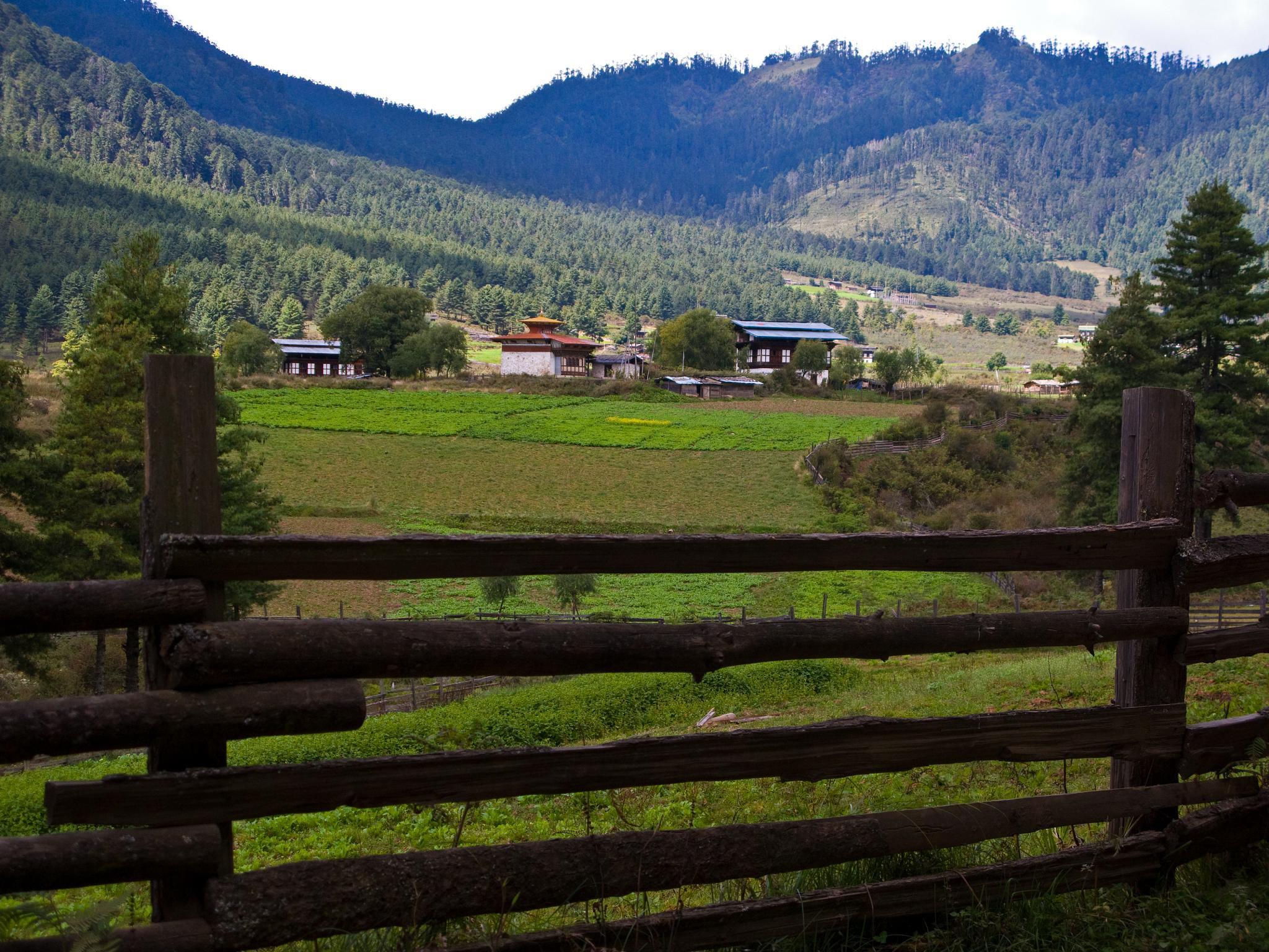 Things To Do in Bhutan