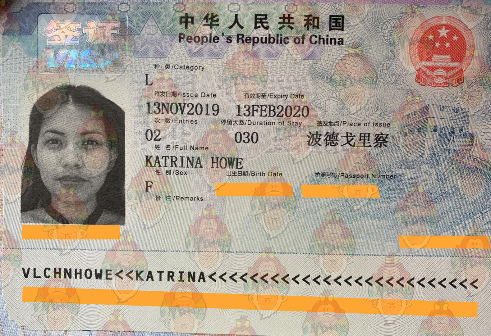 how to get a visa for china