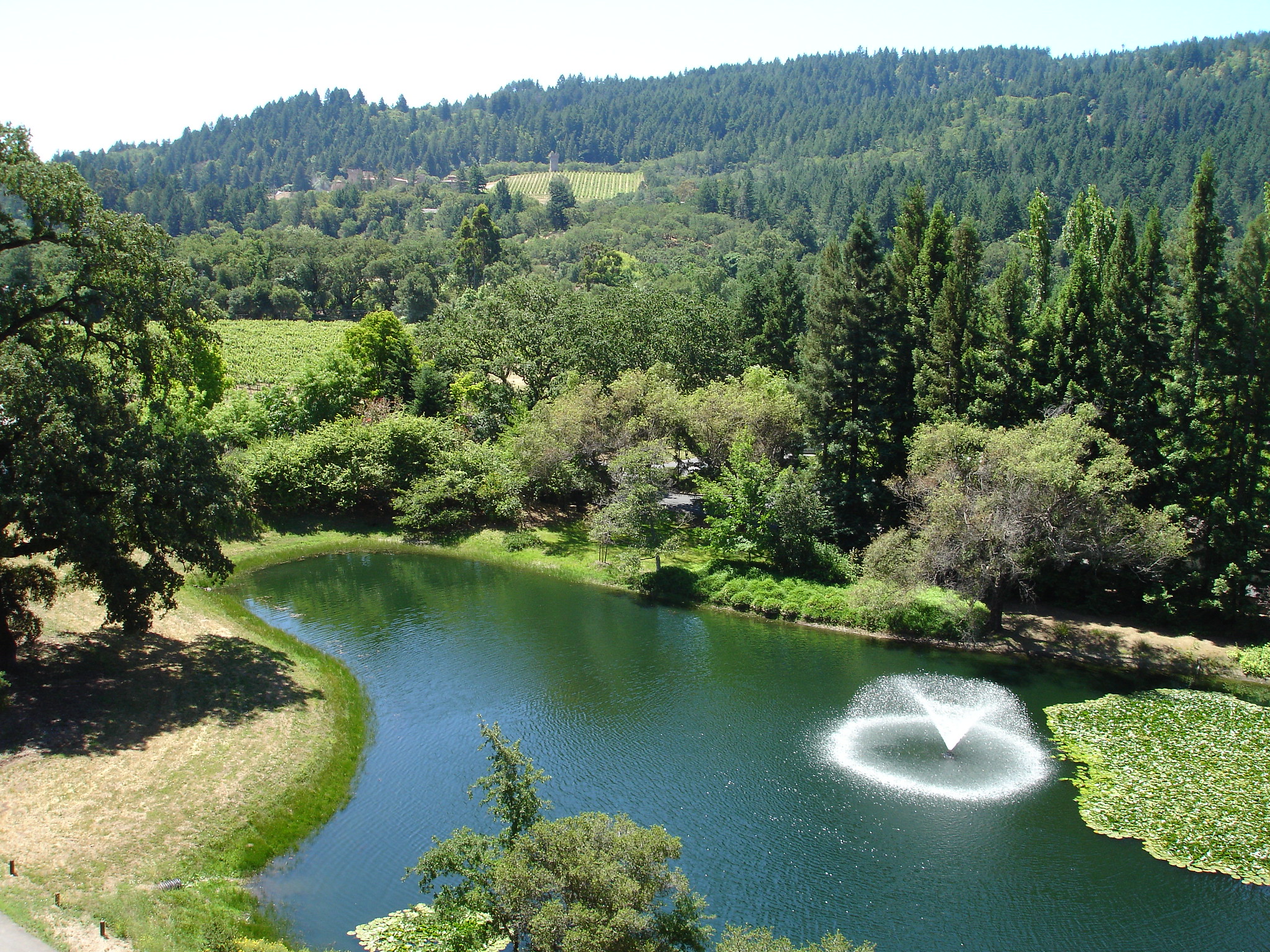 15 Things to do in Calistoga, California