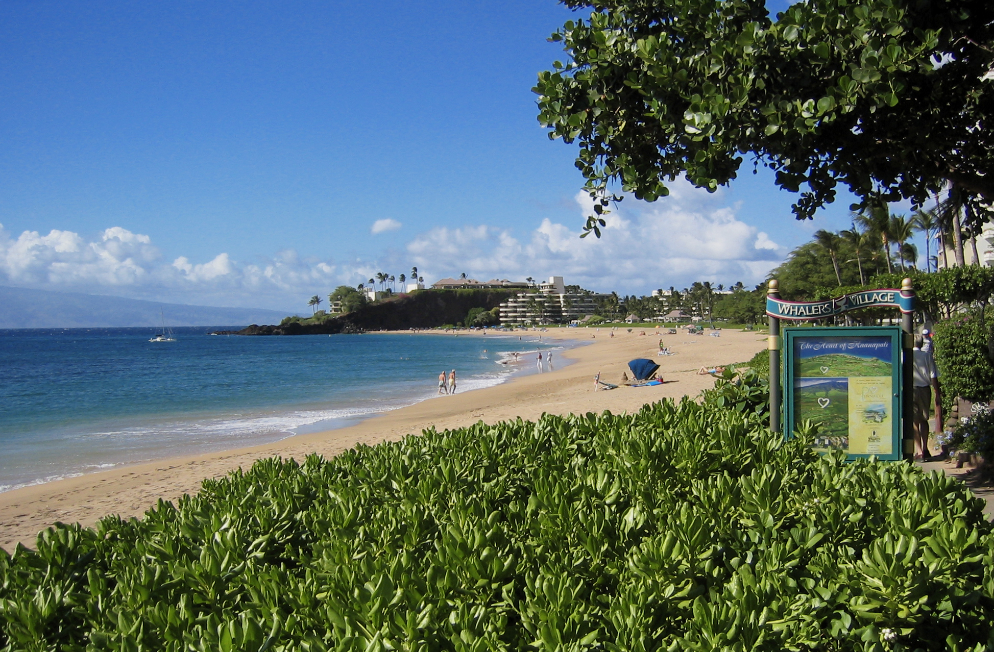 Best Beaches in Maui, Hawaii Top 10 Beaches in Maui