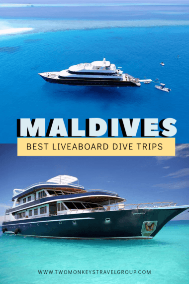 Best Liveaboard Dive Trips in Maldives