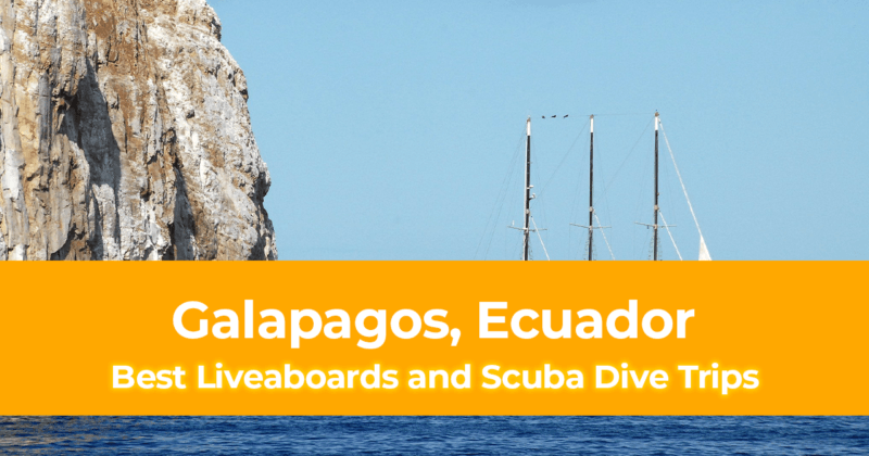 Best Liveaboards and Scuba Dive Trips in Galapagos, Ecuador