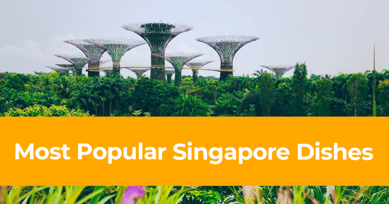 Singaporean Food 10 of the Most Popular Singapore Dishes