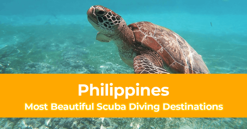 Top 7 Most Beautiful Scuba Diving Destinations in the Philippines