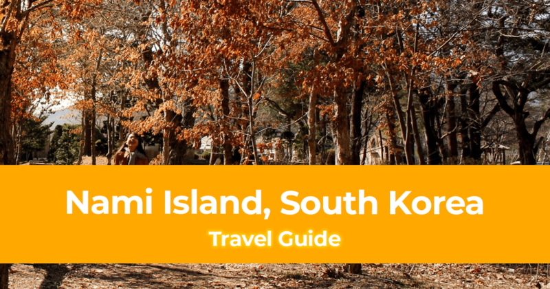 Travel Guide to Nami Island, South Korea How to Go & What to Do
