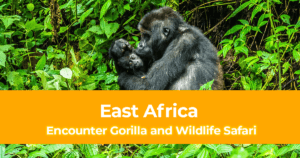 Your Dream Africa Trip - Encounter Gorilla and Wildlife Safari in East Africa 