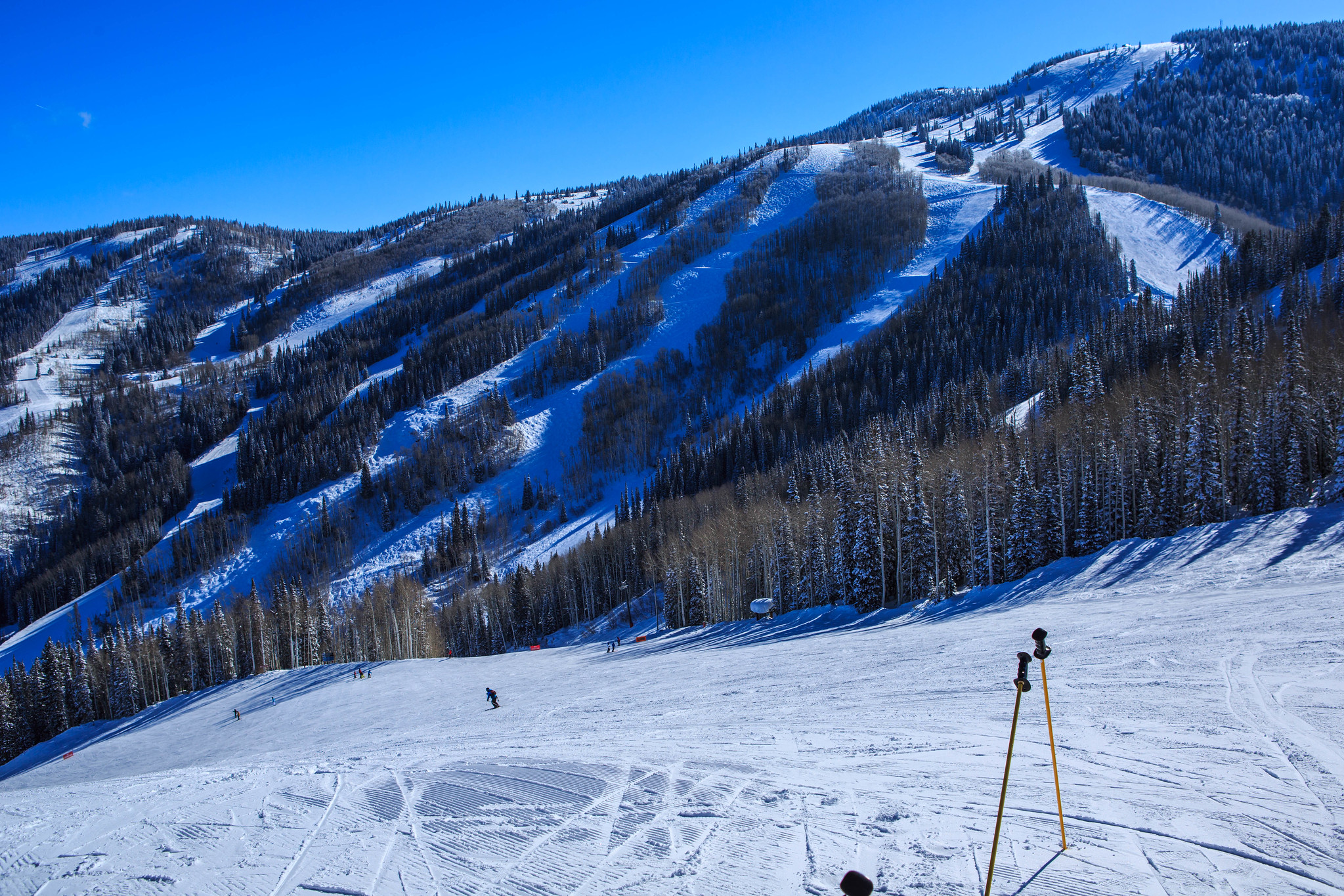 15 Things to do in Steamboat Springs, Colorado