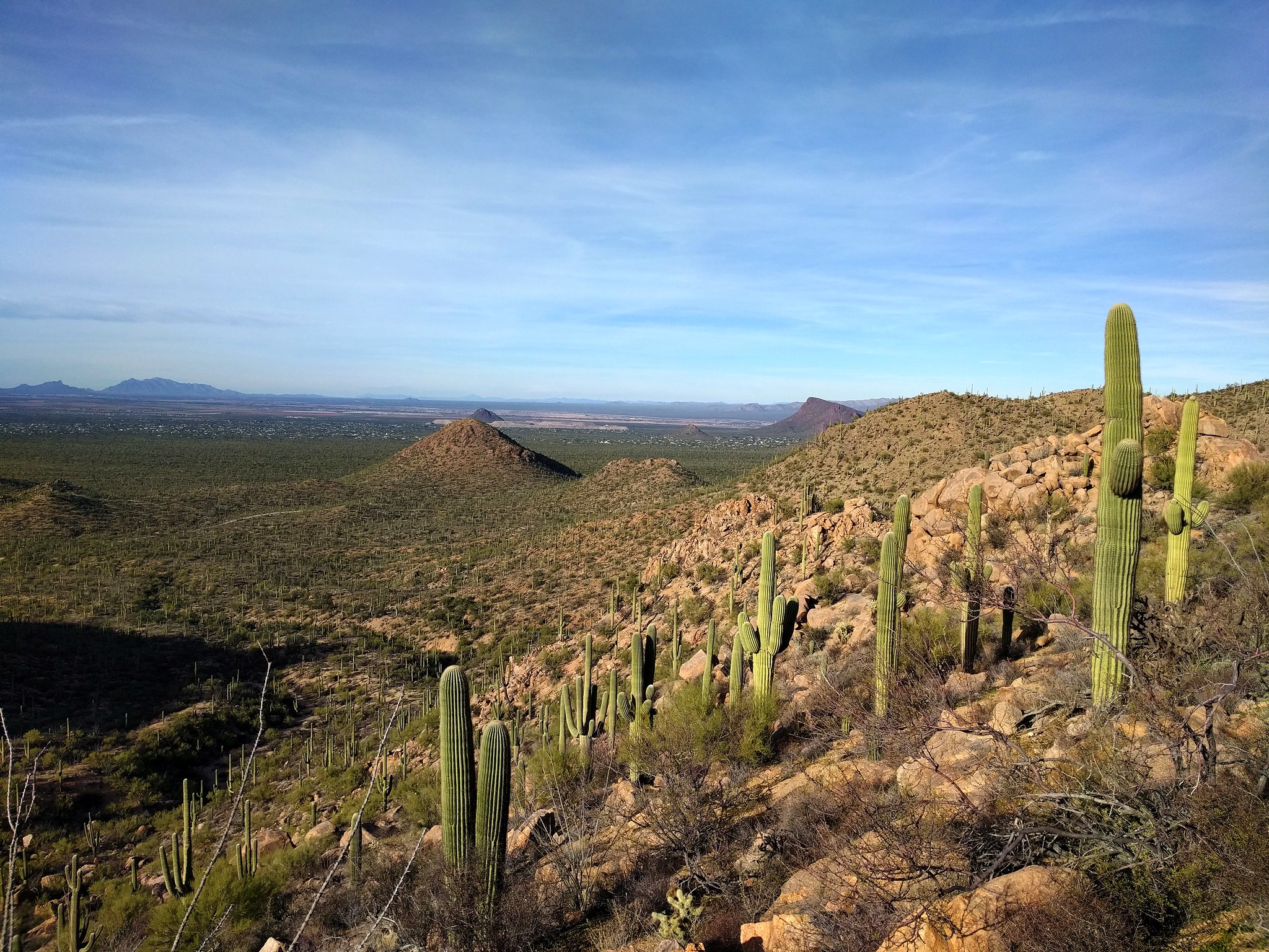 15 Things to do in Tucson, Arizona