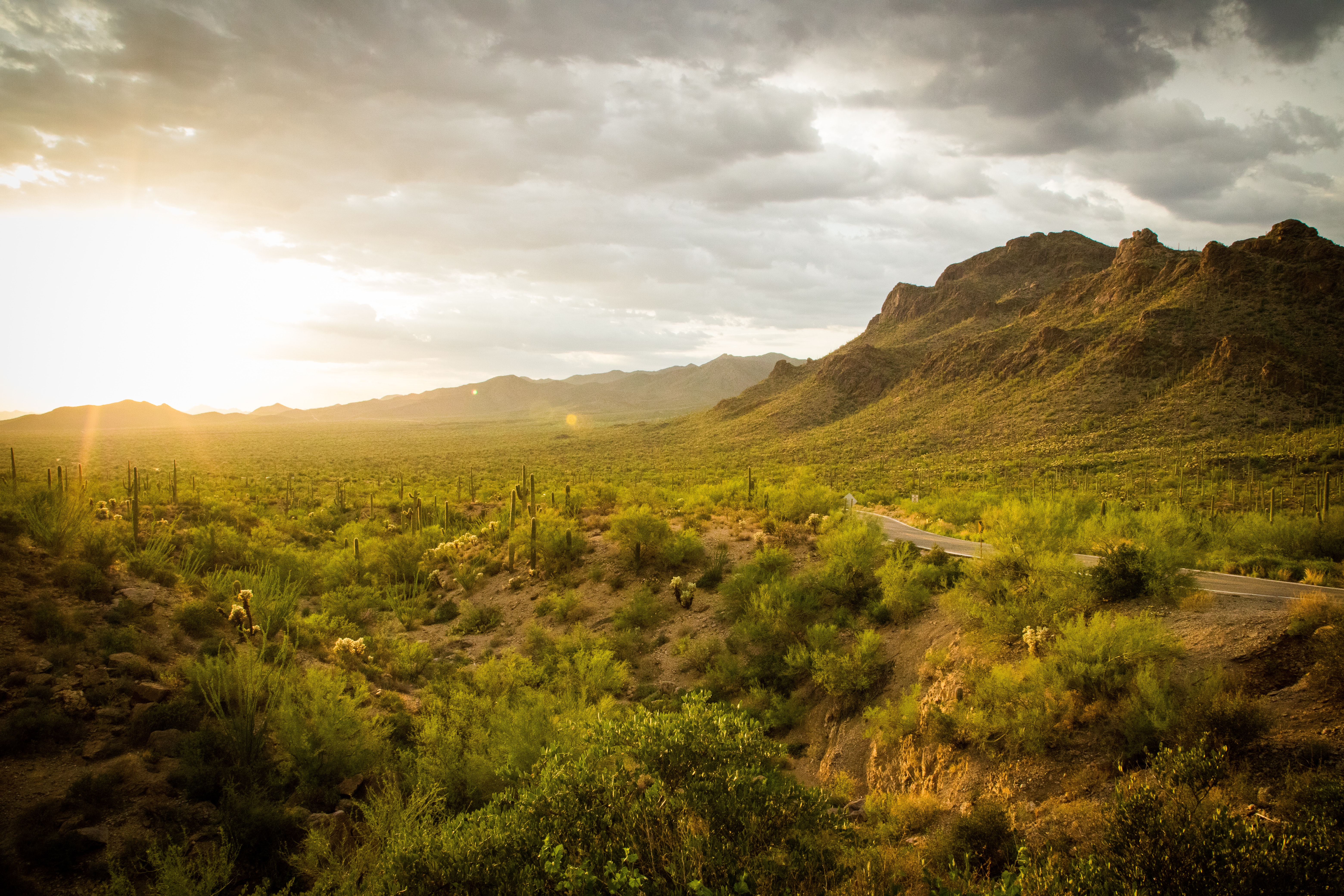 15 Things to do in Tucson, Arizona