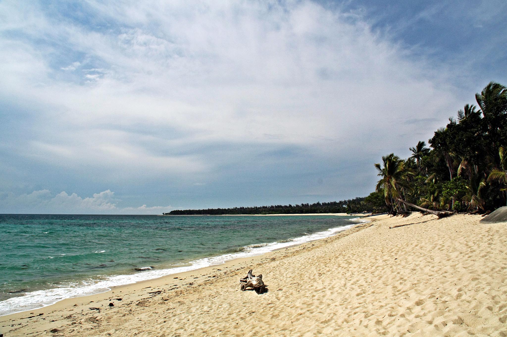 20 Best Islands with White Sand Beaches in the Philippines