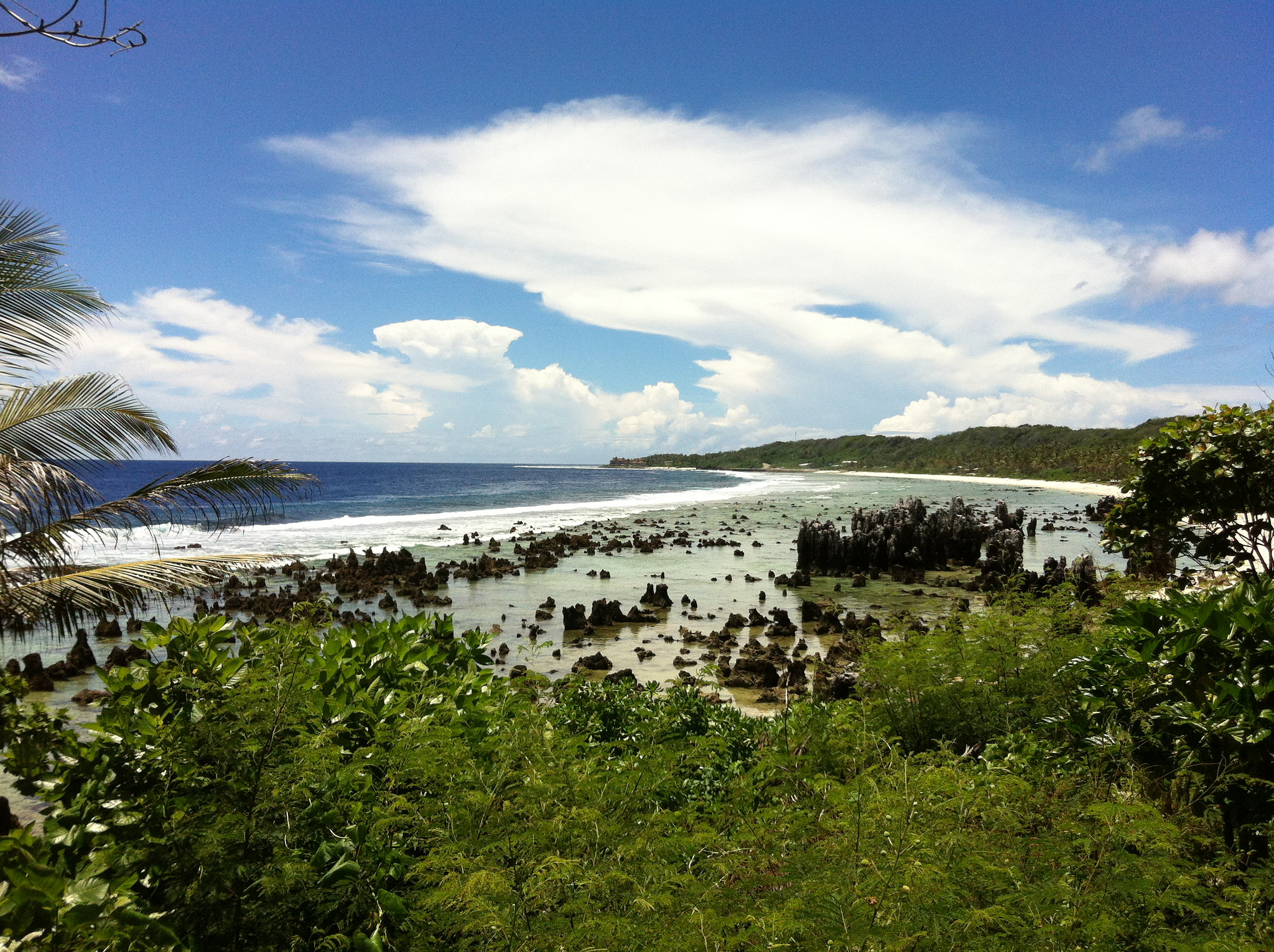 7 Things To Do in Nauru