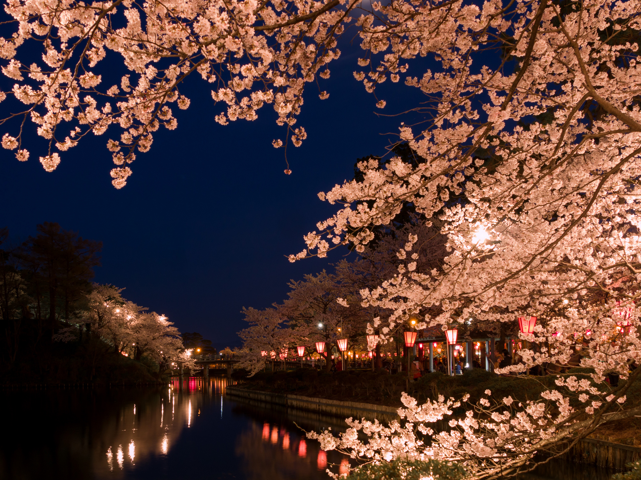 Best Cherry Blossom Viewing Spots All Over Japan