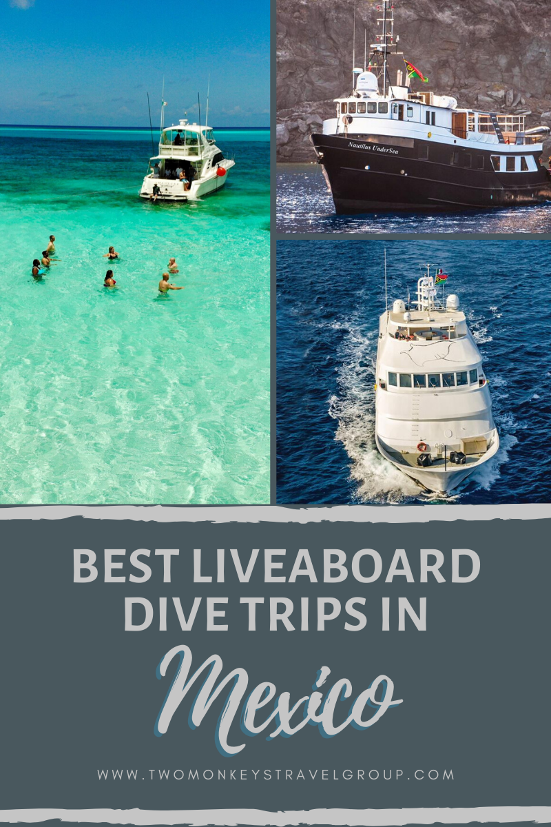 The 6 Best Liveaboard Dive Trips in Mexico [From Budget to Luxury Boat]