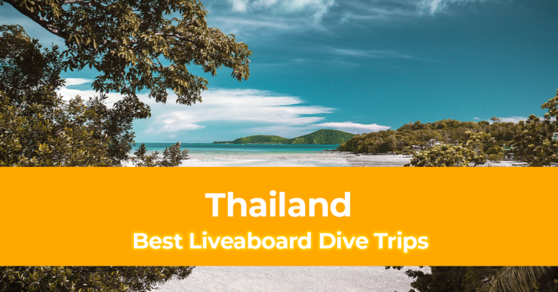 The 8 Best Liveaboard Dive Trips in Thailand