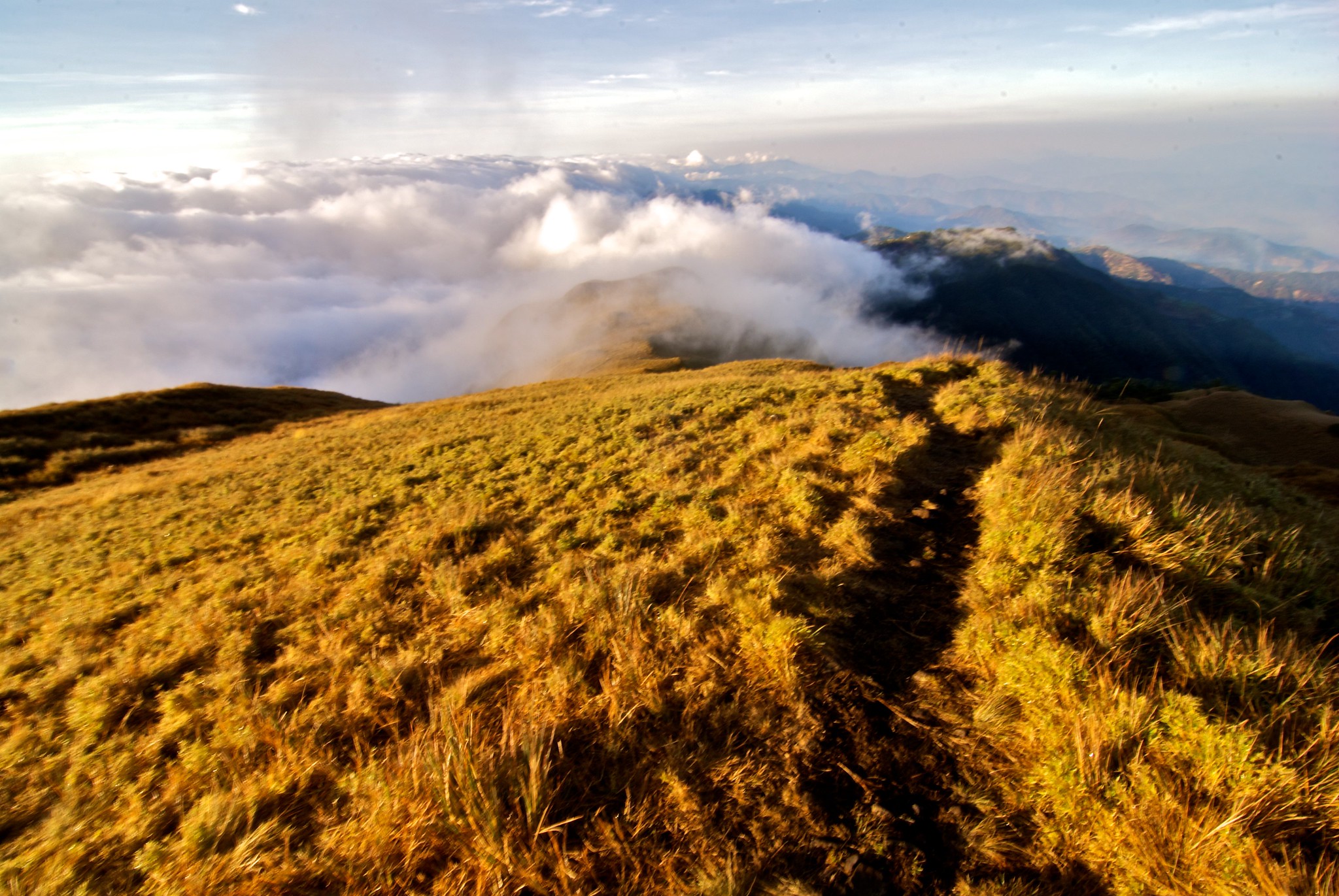 Travel Guide to Mt. Pulag, Philippines DIY Itinerary