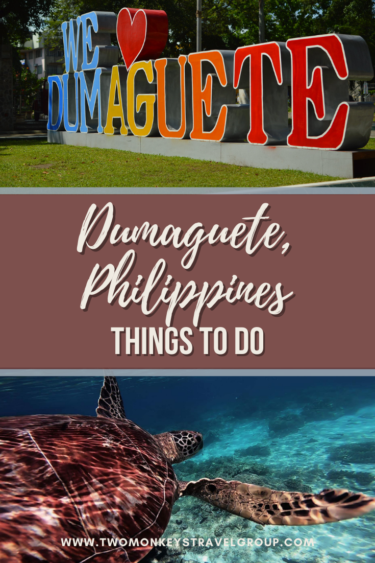 5 Things to Do near Dumaguete, Philippines [Nature Spots]