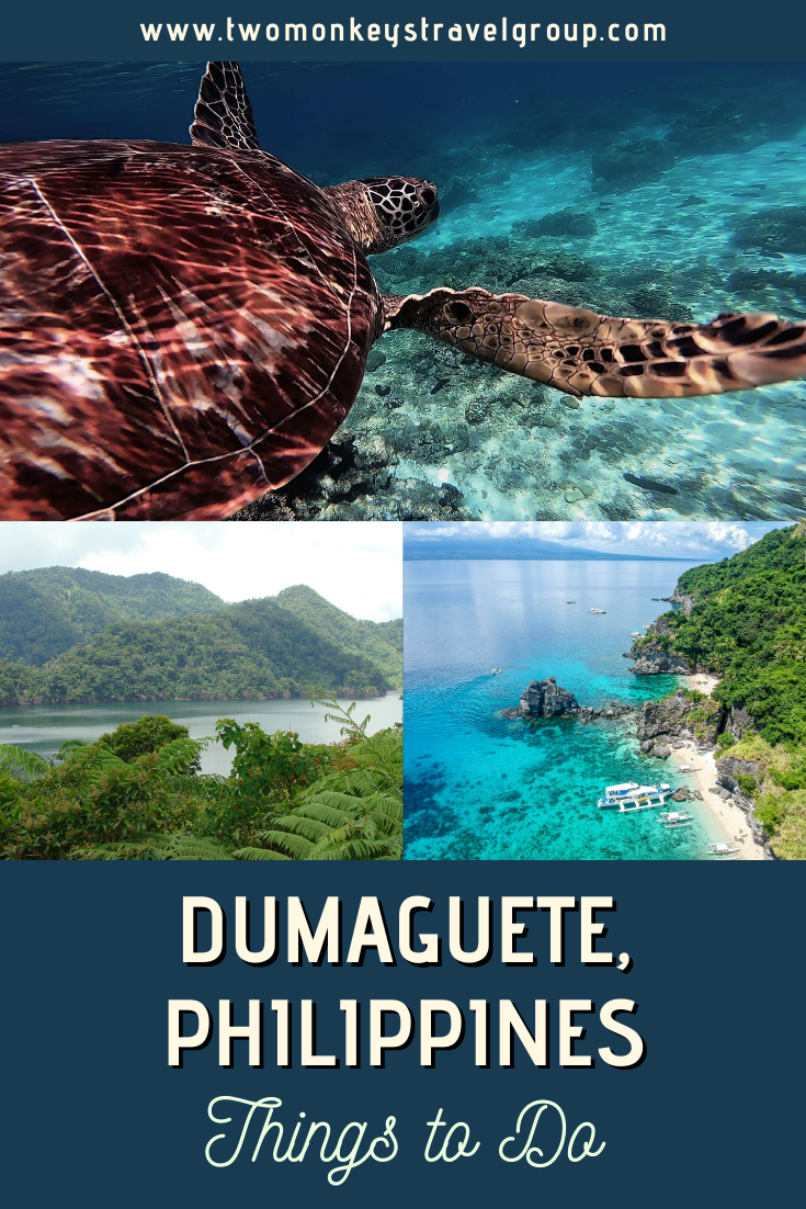 5 Things to Do near Dumaguete, Philippines [Nature Spots]