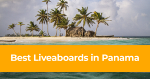 Best Liveaboards in Panama Dive and Sailing Trips in Pamana