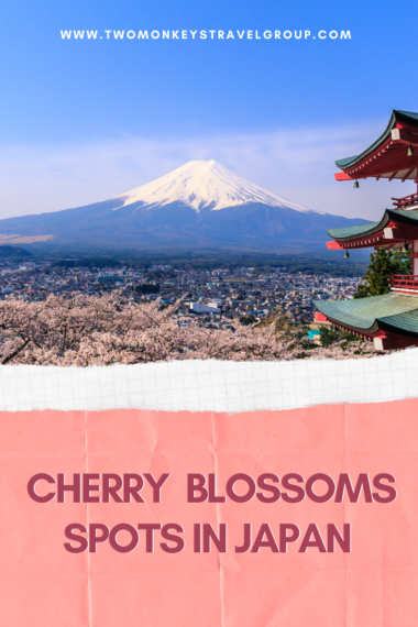 Top 32 Cherry Blossoms Spots In Japan [Best Viewing Spots For Sakura ...